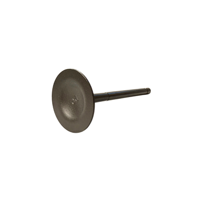 Talos T60X D14000iE Intake Valve