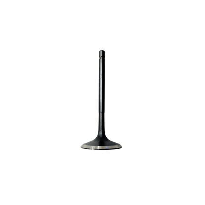 Talos T60X D14000iE Intake Valve