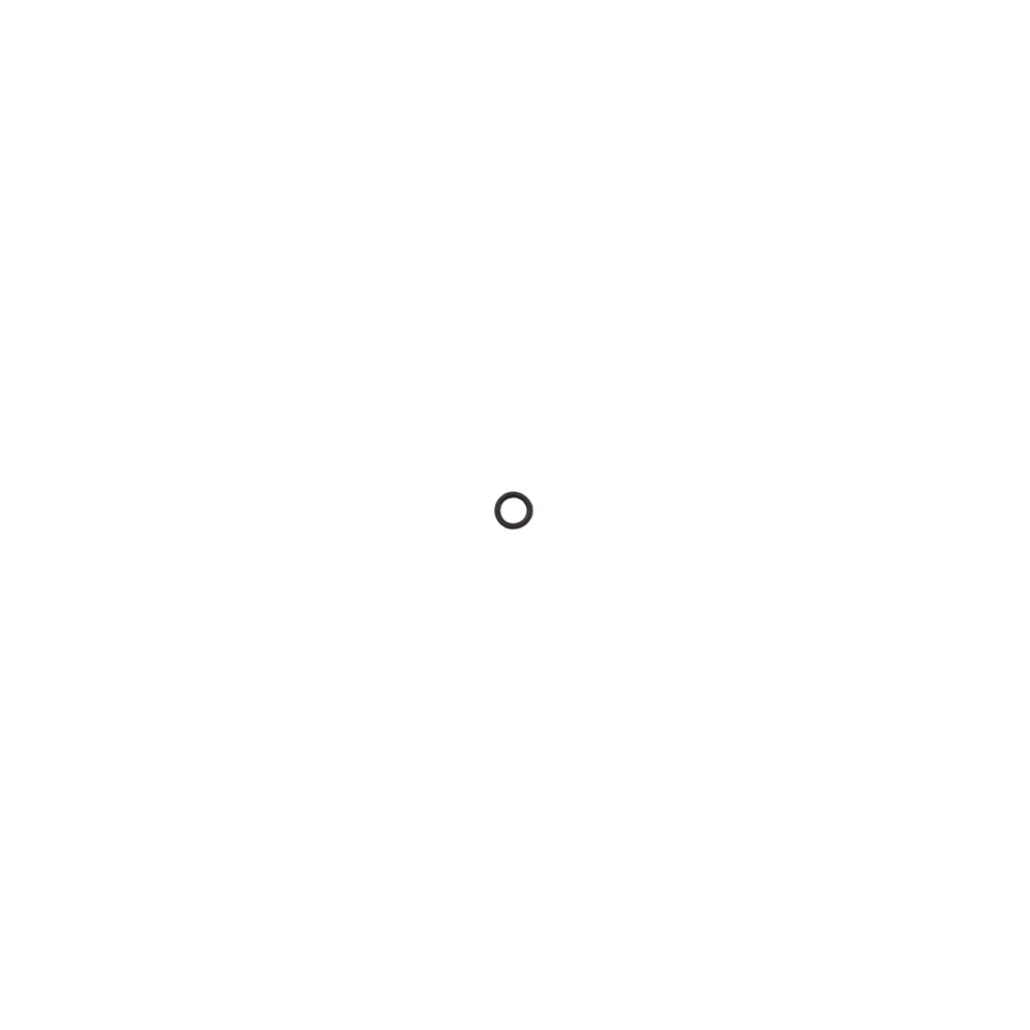 DJI Agras T100 Drain Hole Waterproof Ring