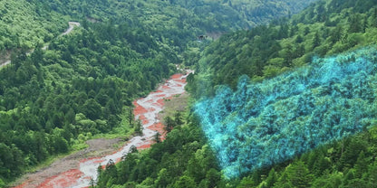 DJI Mavic 3 Multispectral M3M